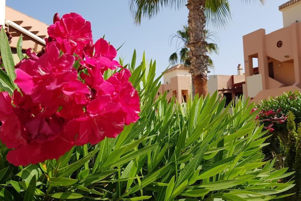 Casa Puesta Del Sol Apartamento